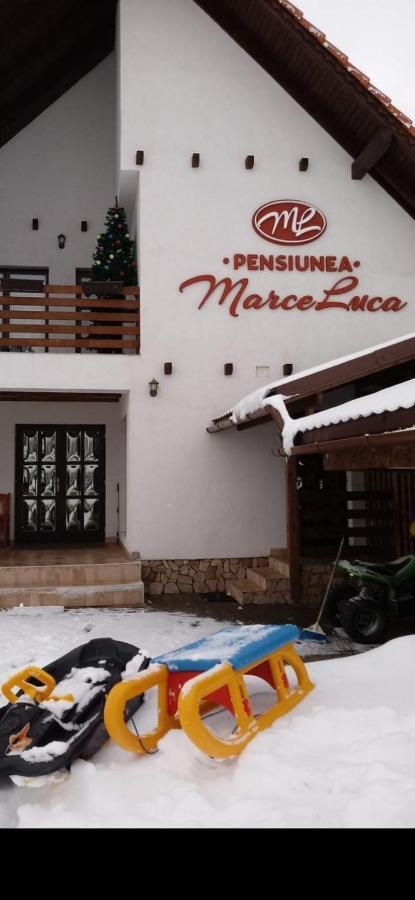 Pensiunea Marceluca Hodosa Ngoại thất bức ảnh